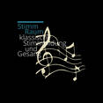 StimmRaum–klassische Stimmbildung und Gesang